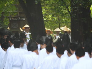 風日祈宮橋付近までの御樋代木の奉曳(内宮)
