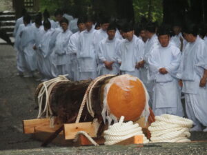 風日祈宮橋付近までの御樋代木の奉曳(内宮)