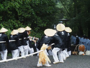 風日祈宮橋付近までの御樋代木の奉曳(内宮)