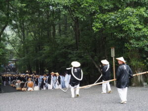 風日祈宮橋付近までの御樋代木の奉曳(内宮)