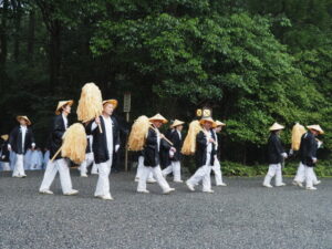 風日祈宮橋付近までの御樋代木の奉曳(内宮)