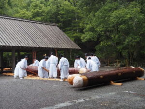 五丈殿へ安置される御樋代木(内宮)