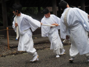 御樋代木奉曳式(外宮)