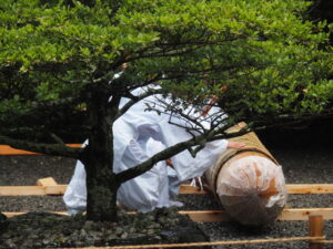 御樋代木奉曳式(外宮)