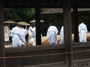 五丈殿へ安置される御樋代木(外宮)