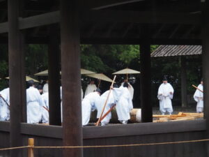 五丈殿へ安置される御樋代木(外宮)