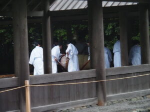 五丈殿へ安置される御樋代木(外宮)