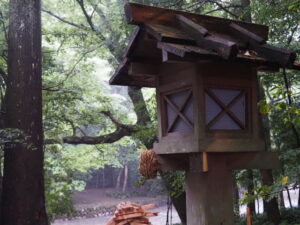これは？（風日祈宮橋付近）