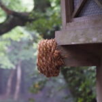 これは？（風日祈宮橋付近）