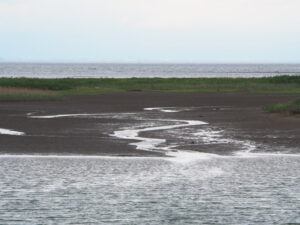 大湊へのぶらり