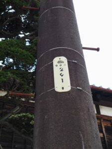 折れた電柱の電柱番号［00ニ 291］