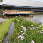 勾玉池菖蒲園と奉納舞台とせんぐう館（外宮）