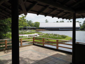 東屋から望む勾玉池菖蒲園（外宮）