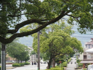 御幸道路