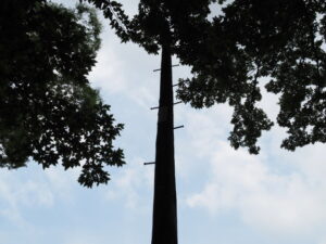 久世戸墓地にて