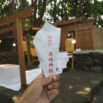 授与していただいた御神杉（赤崎神社）