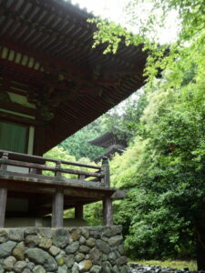 金堂脇からの望む多宝塔（神護寺）