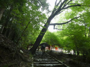 多宝塔（神護寺）