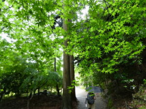 神護寺にて
