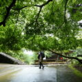 五大堂付近（神護寺）