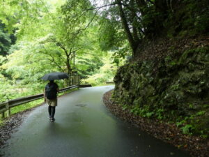 高雄橋〜灌頂橋（ともに清滝川に架かる）