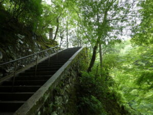 西明寺の参道