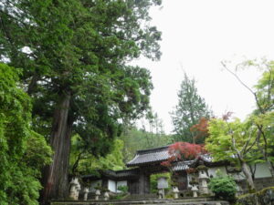 西明寺
