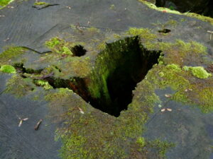 金堂道にて（高山寺）