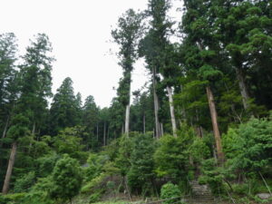 高山寺にて