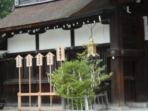 中門東西回廊前（下鴨神社）