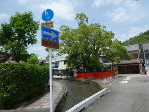 藤木社のクスノキ