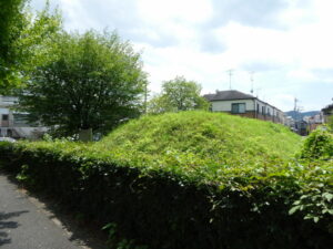 今も残る御土居（北区紫竹上堀川町）