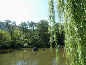 ひょうたん池（円山公園）