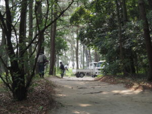 草刈りと植栽剪定作業（御塩殿神社）