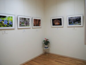 第27回 写真クラブ『たまき』写真展＠ぎゃらりー久