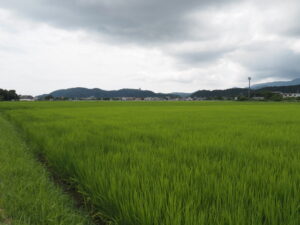 伊勢市二見町西にて