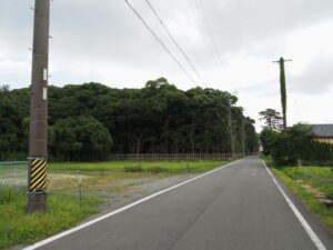 御塩殿神社の社叢遠望