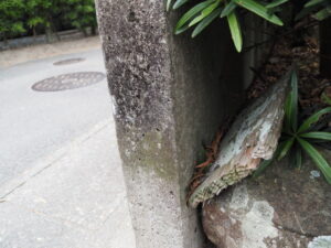 「ここは御塩みち」の案内板はここに(伊勢市二見町荘)