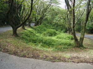 高野浄水場付近から雲出川への下り坂（津市一志町高野）