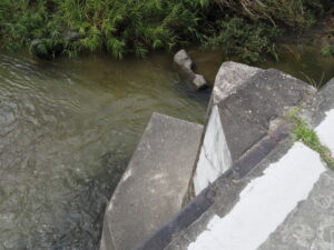 石橋の潜水橋（沈下橋）から望む雲出川