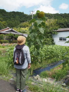 津市一志町石橋にて