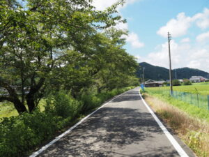雲出川の左岸堤防道路（片山橋〜大仰橋）