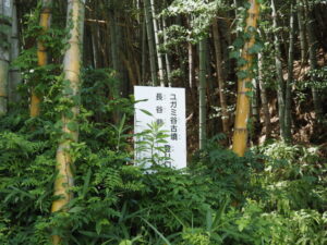 ［ユガミ谷古墳 長谷砦跡 登り口］の案内板