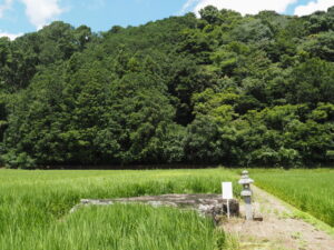 大平岩（津市一志町井関）