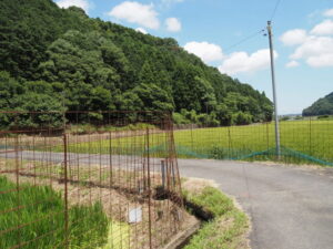 津市一志町井関にて