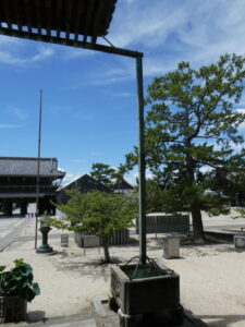 如来堂にて(専修寺)