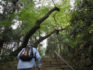本堂(灌頂堂)への石段(室生寺)