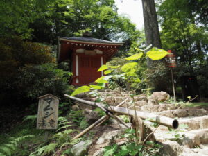 室生寺にて(宇陀市室生)