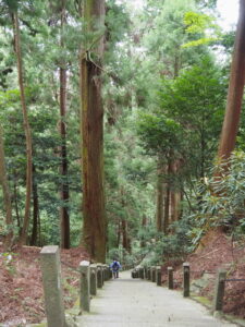 奥之院の参道(室生寺)
