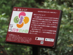 奥之院の参道にて(室生寺)